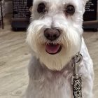 Correa de paseo etnica