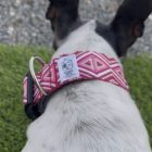 collar click bordado rosa y verde